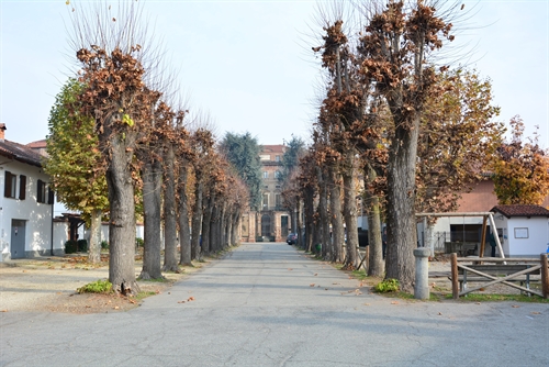Il castello dei Conti di Piossasco con il Viale.